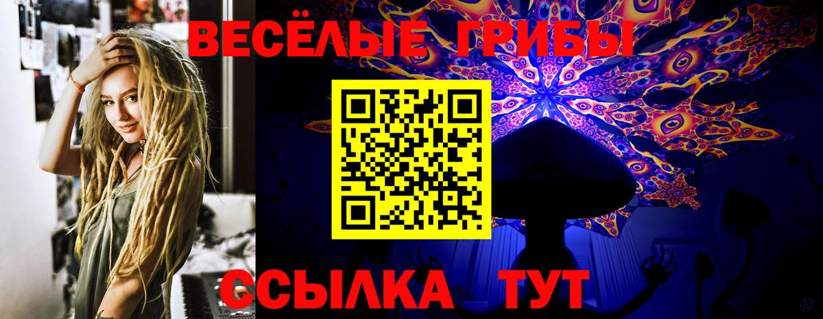 Избербаш  Галлюциногенные грибы мицелий  Вход с VPN 