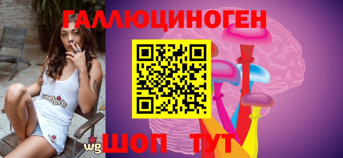 Псилоцибиновые грибы GOLDEN TEACHER Избербаш