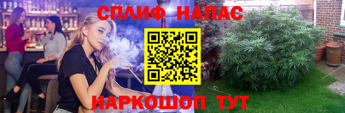 Конопля тримм  Вход с VPN  Конопля Bruce Banner  Каннабис Amnesia  Избербаш 